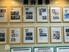 -半岛宠物医院24小时·内窥镜·牙科·碎石中心(府城大道店)