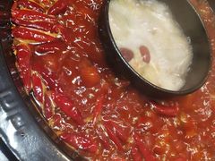 -渝大狮毛肚老火锅(普陀店)