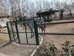 -郑州市动物园