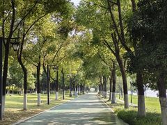 -武昌江滩