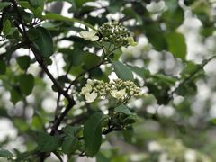 -白塘生态植物园