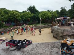 -荔湾区儿童公园