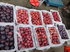 -南京众彩农副产品配送有限公司