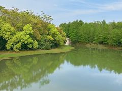 -上海海湾国家森林公园