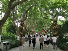 -杭州黄龙洞
