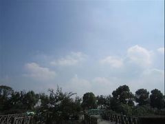-荷塘月色湿地公园·向阳花洲
