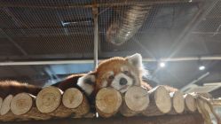 -Zoolung Zoolung动物主题公园(海信广场店)