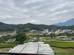 -龙泉青瓷博物馆