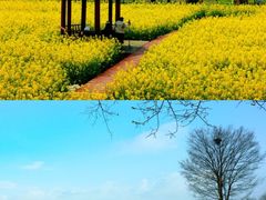 -武汉紫薇都市田园