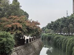 -神仙树公园