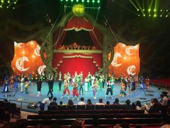 -珠海横琴长隆《卡卡虎奇遇记》