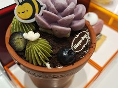 -哈根达斯(国瑞店)