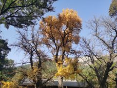 -青州市云门山风景区