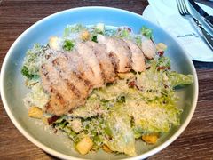 -bluefrog蓝蛙(石家庄欢乐汇店)