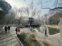 -西安市长乐公园