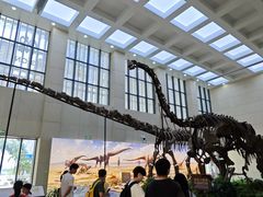 -广西壮族自治区博物馆