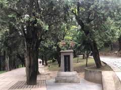 -黄帝陵