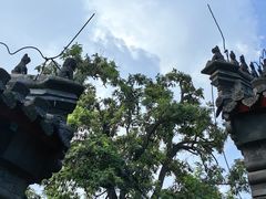 -保定直隶总督署博物馆