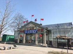-蓝呗呗蓝莓草莓采摘园(通州区马驹桥店)