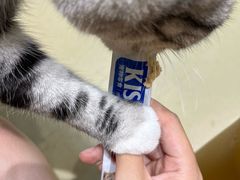 -藏猫猫咖啡主题馆(中央大道店)