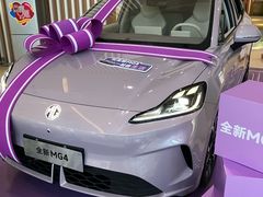 -上汽荣威体验中心(徐汇东安路店)