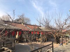 -老村长农家院
