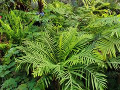 -国家植物园南园