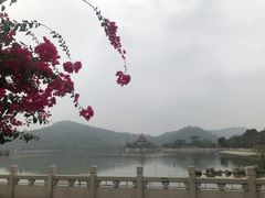 -顺峰山公园