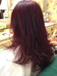 -Every Day Hair Studio