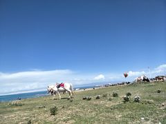 -青海湖国家重点风景名胜区