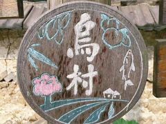 -乌村