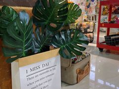 -张升画室·DAVID ART·成人油画·DIY手作·陶艺