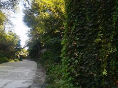 -北京西山国家森林公园