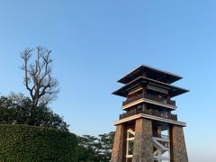-大湾区中央湿地公园