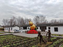 -溱湖国家湿地公园