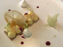 -蝶舍·MAISON PAPILLON