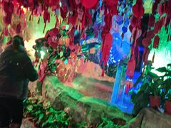 -季季红火锅(长沙步行街店)