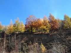 -帽儿山国家森林公园