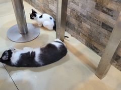 -西安名吃秦唐人家(南泉路店)