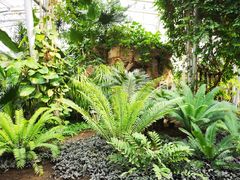 -北京植物园-展览温室