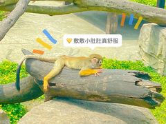 -上方山森林动物世界