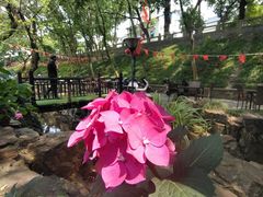 -兴福老面馆(寺路街店)