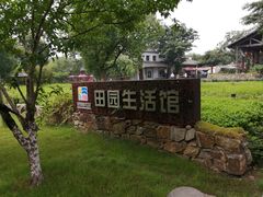 -田园东方蜜桃村的田野营地