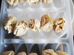 -熊大爷现包饺子(和平里店)