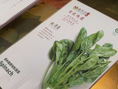 -番食园鲜食火锅(高新店)