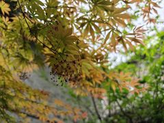 -李鸿章故居