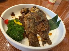 -唐山宴百姓府邸院落中餐