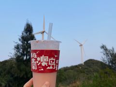 -南澳岛打卡果汁冰公司