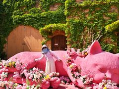 -青岛方特梦幻王国