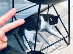 -UNI UNI(环亚凯瑟琳店)